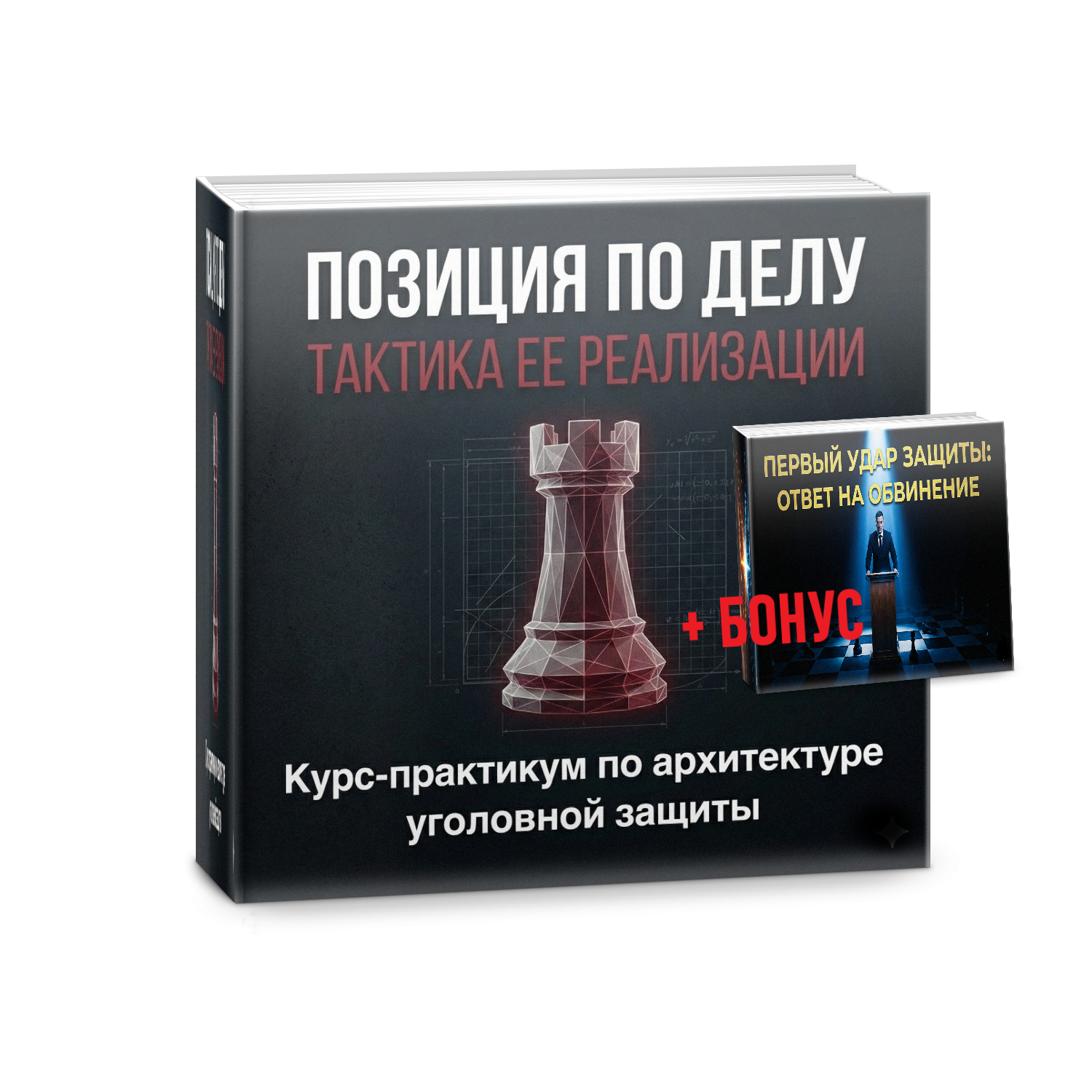 Позиция по делу